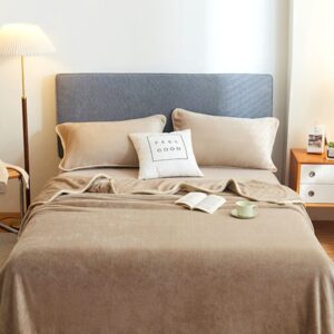 Thickened Milk Fleece Bed Sheets