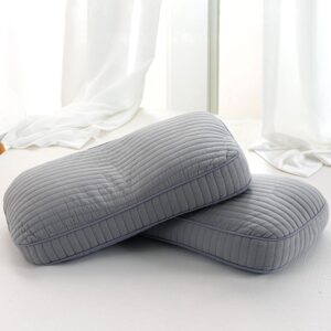 Natural and Pollution Free Buckwheat Pillow